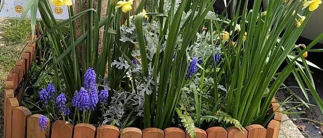ROTR 2026 March Combemartin flowers 3ed1