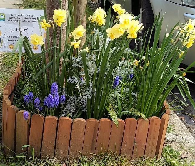 ROTR 2026 March Combemartin flowers 3ed1